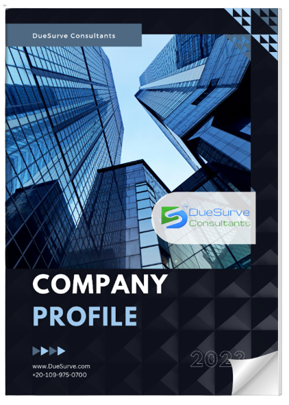 DueSurve Company Profile 2023.